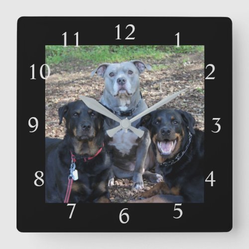 Dog Family Picture Wall Clock