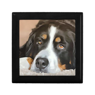 Dog, Female dog, Bernese mountain dog Gift Box