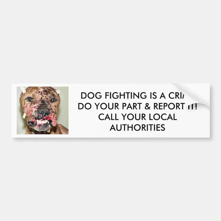 is dog fighting a crime