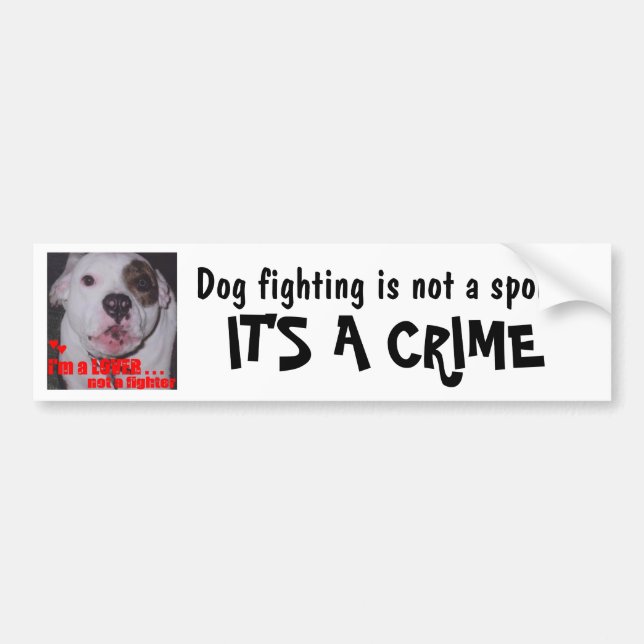 Dog Fighting is not a sport It's a CRIME Bumper Sticker (Front)