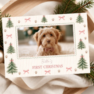 Dog First Christmas Photo Holiday Card