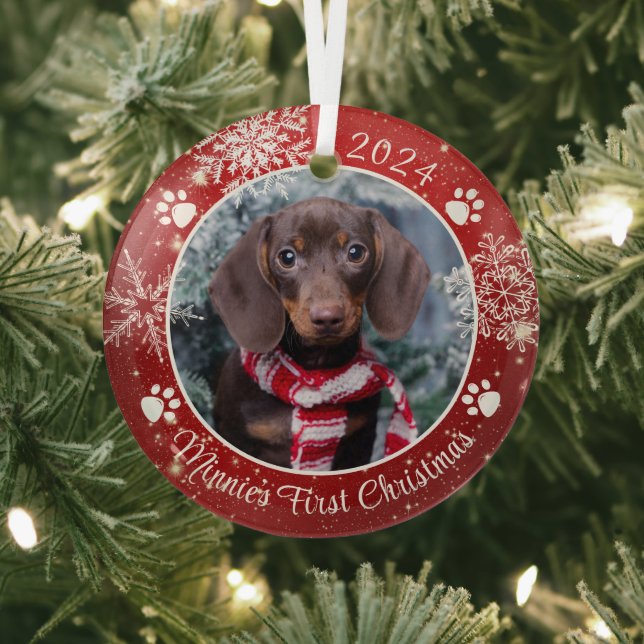 Dog First Christmas Snowflake Photo Red White Glass Ornament (Insitu)