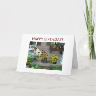 Dog & Flowers On The Porch, HAPPY BIRTHDAY! Card