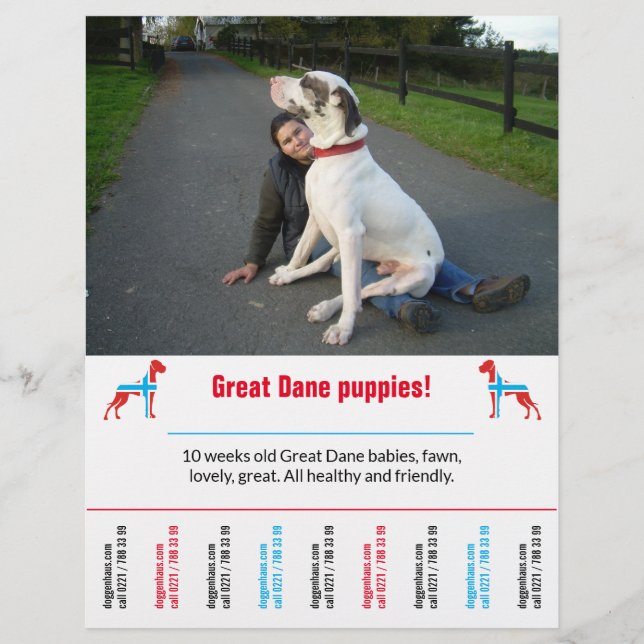 dog flyer template printable (Front)
