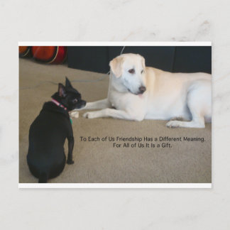 Dog Friendship Postcard