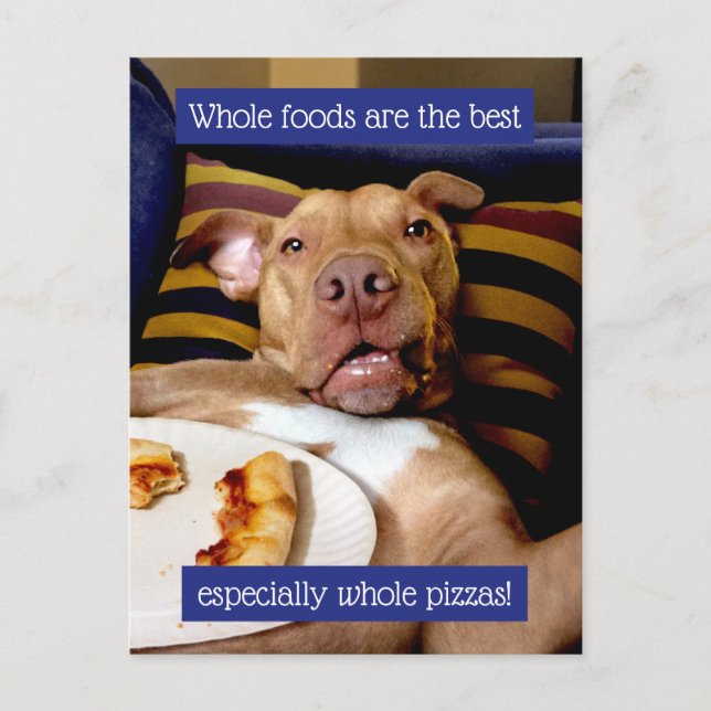 Dog Full Of Pizza Invitation Postcard (Front)