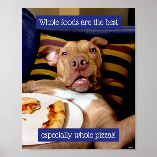 Dog Full Of Pizza Poster