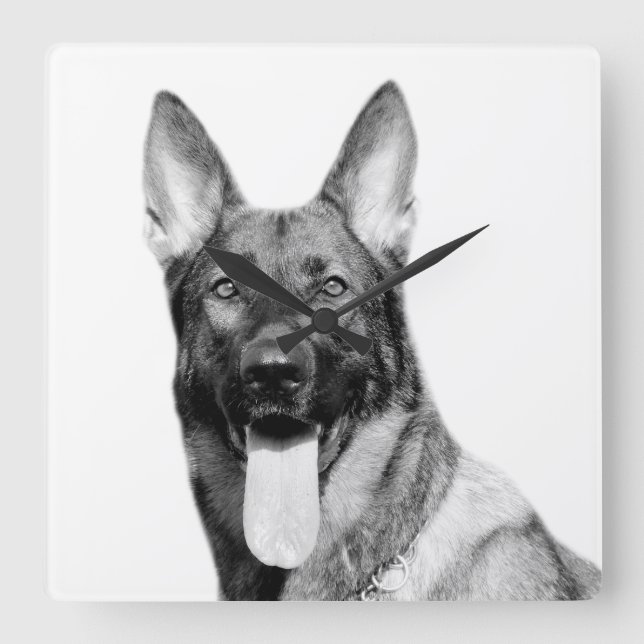 Dog german shepherd animal pet photo black white square wall clock (Front)