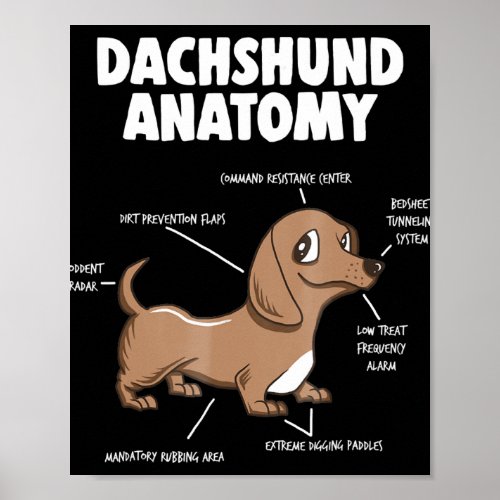 Dog Gift  Anatomy Dachshund  Funny Weiner Poster