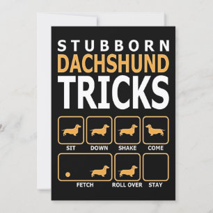 Dog Gift   Stubborn Dachshund Tricks Invitation