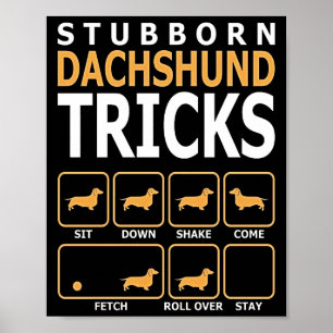 Dog Gift Stubborn Dachshund Tricks Poster