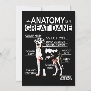 Dog Gift The Anatomy Of A Great Dane Thank You Card