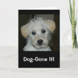 Dog-gone It I Missed Your Birthday! Card at Zazzle