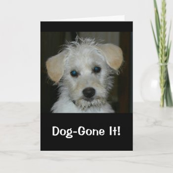 Dog-gone It I Missed Your Birthday! Card by MortOriginals at Zazzle
