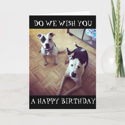 DOG GONE RIGHT WE WISH YOU A HAPPY BIRTHDAY CARD