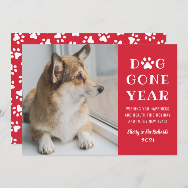 Funny Christmas Cards | Zazzle - 100% Satisfaction Guaranteed!