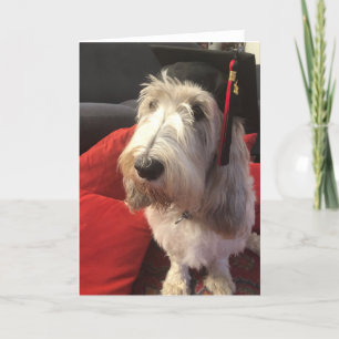 Dog Graduation Card