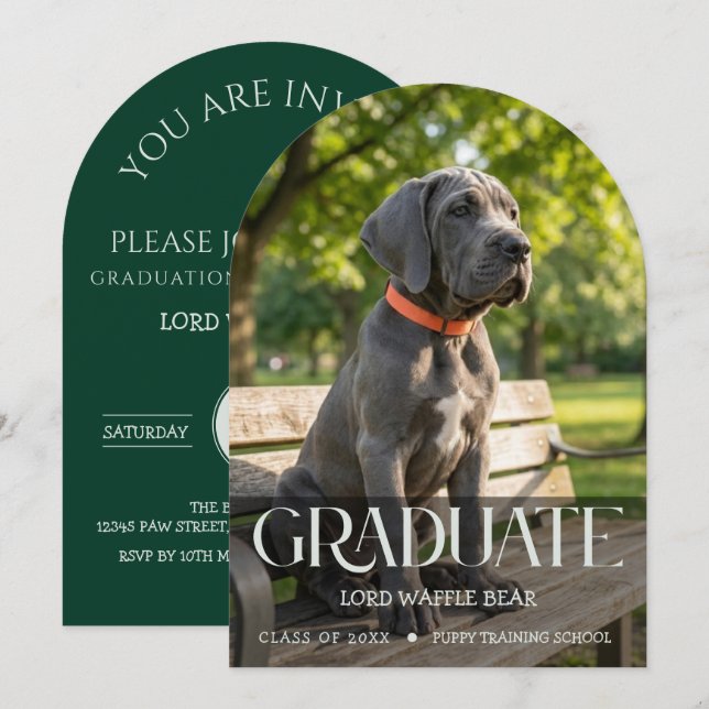Dog Graduation Invitation Pet Photo in Emerald (Front/Back)