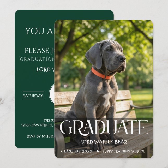 Dog Graduation Party Invite Pet Photo Emerald (Front/Back)