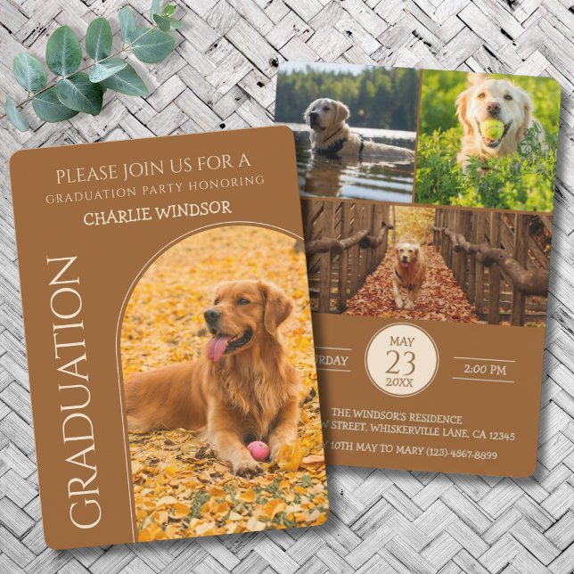 Dog Graduation Party Invite Pet Photos Brown (Dog Graduation Invitation cards)