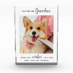 Dog Grandma Personalized Pet Picture Photo Block<br><div class="desc">Happy Birthday the the best dog grandma ever ! Give Grandma a cute and funny personalized pet photo plaque from her best grandchild, the dog! "You Are The Grandma Every Dog Wishes They Had " Personalize with your special message, the dog's name & favorite photo. This dog grandma plaque is...</div>