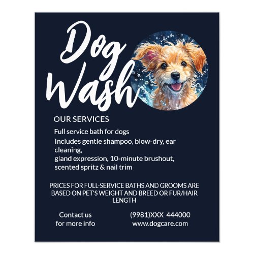 dog groom wash  flyer