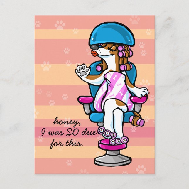 Dog Groomer Appointment reminder Postcard (Front)