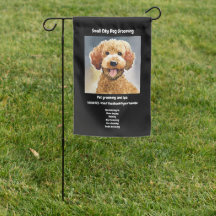 Dog Groomer Business Promotional