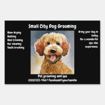 Dog Groomer Business Promotional
