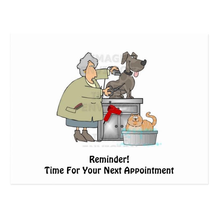 Dog Groomer Next Appointment Postcard