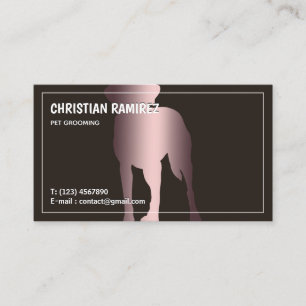Dog Groomer Pet Care Bilingual Business Card