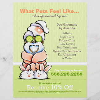 Dog Groomer Spa Shih Tzu Cucumber Coupon Ad Flyer