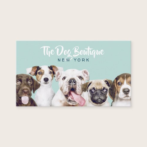 Dog grooming boutique pet sitter cute puppy script business card