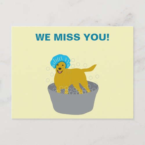 Dog Grooming Business Dog Groomers Promotional Postcard