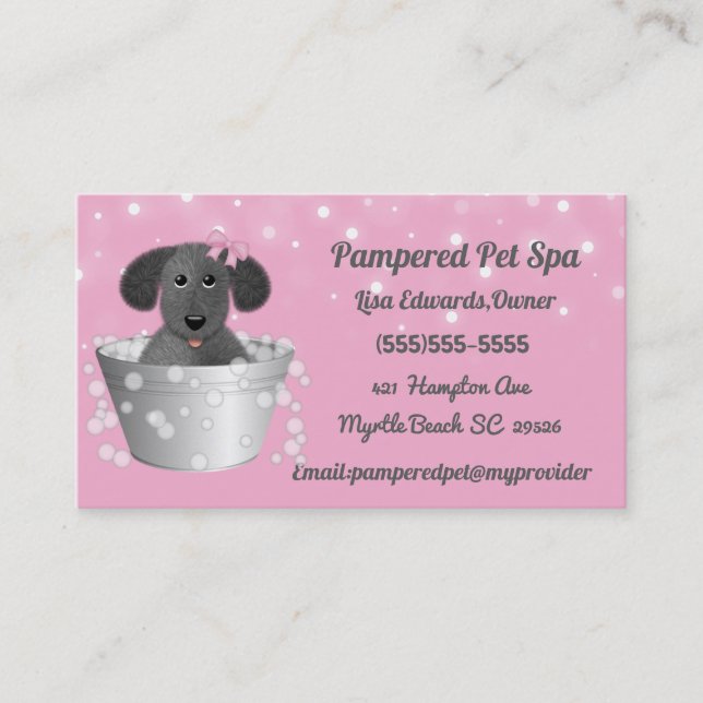 Dog Grooming Dog Spa Appointment Card (Front)