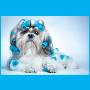 Dog Grooming Jigsaw Puzzle