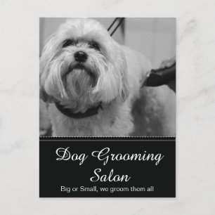 Dog Grooming Post Card - Personalizable