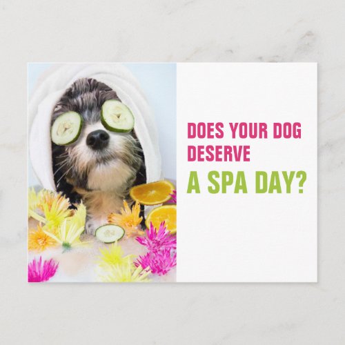Dog Grooming Postcard_Spa Postcard