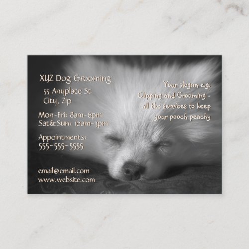 Dog Grooming Service business card template