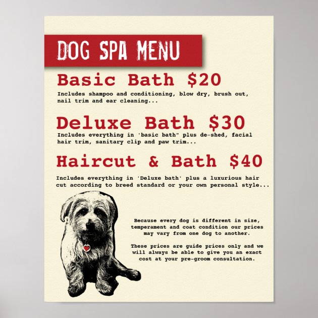 dog grooming cost