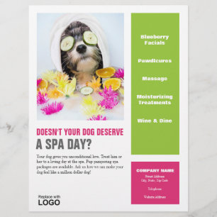 Dog Grooming Spa Poster Flyer