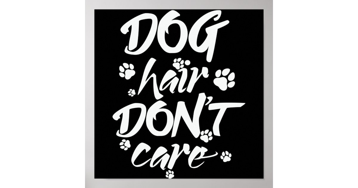 dog hair don't care poster Zazzle