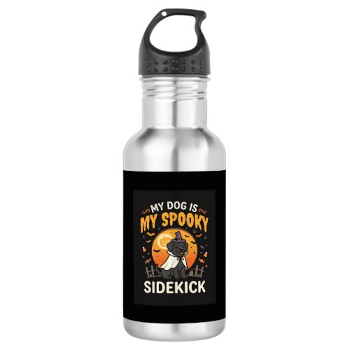 Dog Halloween Costume Night Stainless Steel Water Bottle