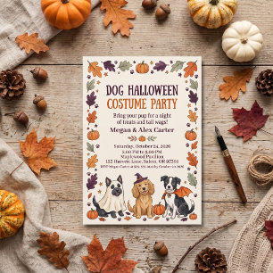 Dog Halloween Costume Party Orange Black Invitation