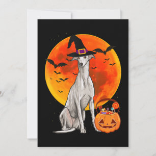 Dog Halloween Greyhound Jack O Lantern Pumpkin Holiday Card