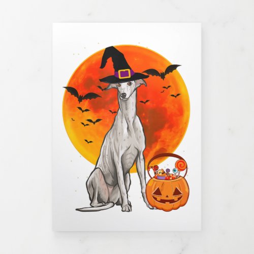 Dog Halloween Greyhound Jack O Lantern Pumpkin Tri_Fold Announcement