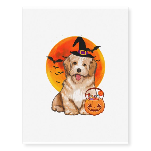 Dog Halloween Havanese Jack O Lantern Pumpkin Temporary Tattoos (Front)