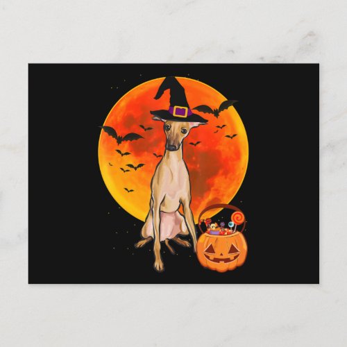 dog halloween italian greyhound jack o lantern pum announcement postcard