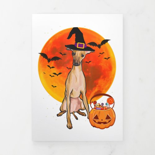 Dog Halloween Italian Greyhound Jack O Lantern Tri_Fold Announcement