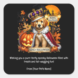 Dog Halloween Pet in spooky costumes Square Sticker